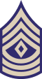 US Army WWII 1SGT.svg
