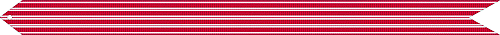 Streamer SNC.PNG