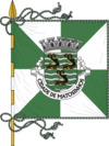 Flag of Matosinhos
