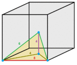 Triangular pyramidille cell1.png