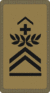 OR-7b - Sergent-Major Chef