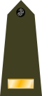 US Marine O1 shoulderboard vertical.svg