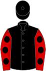 Black, red sleeves, black spots