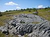 Limestone Pavement - geograph.org.uk - 1351566.jpg