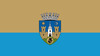Flag of Sfântu Gheorghe