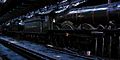 Dscn4066-pendennis-dark-in-shed crop 1200x600.jpg