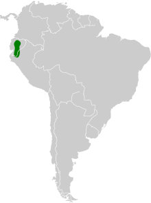Anoura fistulata map.svg