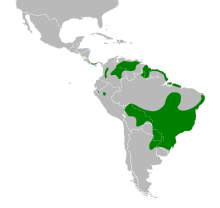 Emberizoides herbicola map.svg
