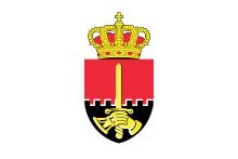 Flag of the Belgian Land Component.svg