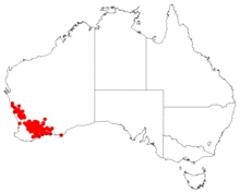 Hakea cygnaDistMap34.png