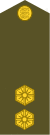 ES-Army-OF1b.svg