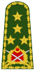 Turkey-army-OF-9.svg
