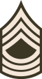 E-8 insignia