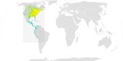Broad-Winged Hawk Range.png