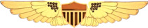 US Coast Guard Flight Officer Insignia.png