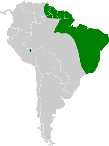 Artibeus cinereus map.svg