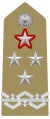 Rank insignia of generale di corpo d'armata con incarichi speciali of the Army of Italy (1973).svg