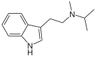 MIPT.svg