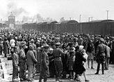 Selection on the ramp at Auschwitz-Birkenau, 1944 (Auschwitz Album) 1b.jpg