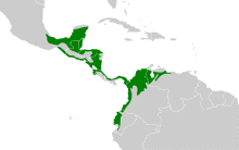 Pteroglossus torquatus map.svg