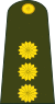 Argentina-Army-OF-5.svg