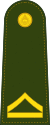 Master Sergeant 3rd Class