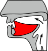 Dentaal.svg