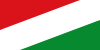 Flag of Cravo Norte