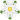 House of York