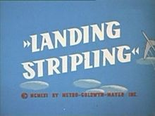 LandingStripling.jpg