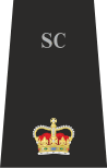 Wiltshire Supt.svg