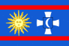 Flag of Vinnytsia Oblast