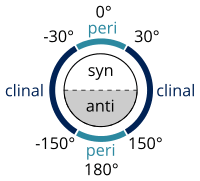 syn/anti peri/clinal