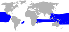 Great frigatebird (Fregata minor) distribution map HBW.svg