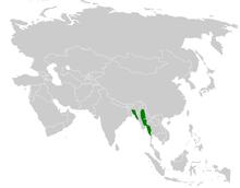 Iole virescens distribution map.png