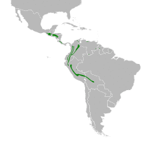 Spodiornis rusticus map.svg