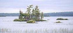 Voyageurs rainy lake.JPG