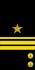RAF N F2-KaptLt sleeve.png