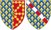 Coat of Arms of Jeanne d'Évreux as Queen Consort of Navarre.svg