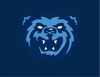 MobileBayBearsCap.png