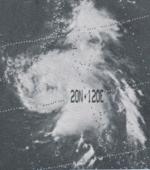 WildaJuly21973.gif
