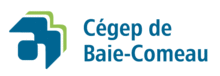 Baiecomeaucegep.png