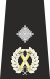 Met DAC Epaulette.svg