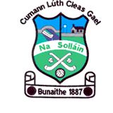 Sallins gaa.jpg