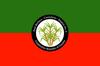 Flag of East Berbice-Corentyne