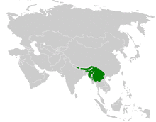Pycnonotus striatus distribution map.png