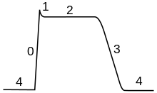 Plot of membrane potential versus time. The initial resting phase (region 4) is negative and constant flowed by sharp rise (0) to a peak (1). The plateau phase (2) is slightly below the peak. The plateau phase is followed by a fairly rapid return (3) back to the resting potential (4).