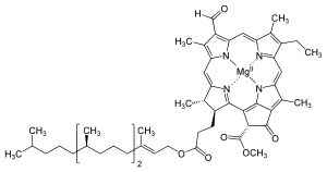 The structure of chlorophyll d