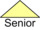 UpArrow Senior.png