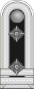 SS-Standartenoberjunker.svg